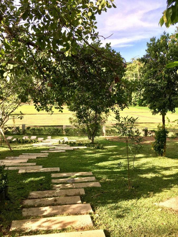 Uyana Boutique Hotel And Retreat Adults Only 아항가마 외부 사진